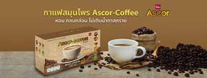 Ascor-Coffee Instant Coffee Powder Arabica Healthy Delicious Fragrance Immune Strong Health 10 Sachet/Box