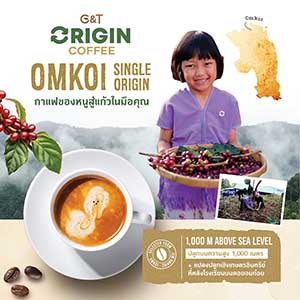 G&T Origin Coffee Instant Coffee Mellow Weight Loss Healthy Snack Arabica Roasted Omkoi Chiang Mai 10 Sachets/Pack 